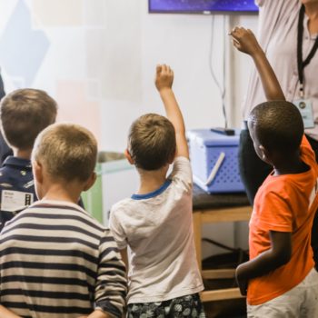 Several students raise their hands as they look at a whiteboard